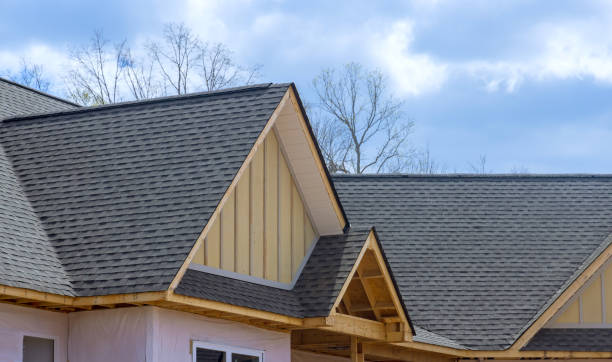 Best Sheet Metal Roofing  in Hutchison, VA